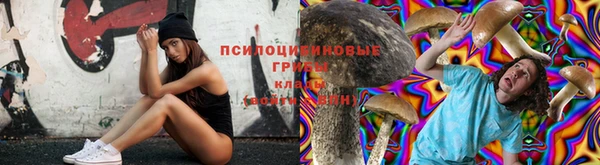 первитин Абинск