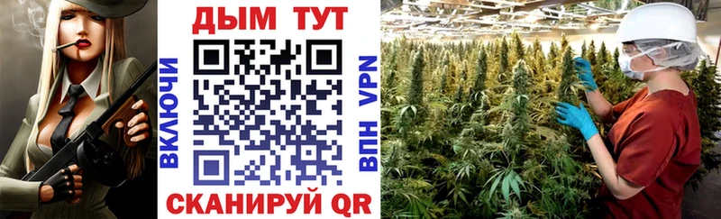 как найти закладки Новоульяновск Бошки Шишки планчик